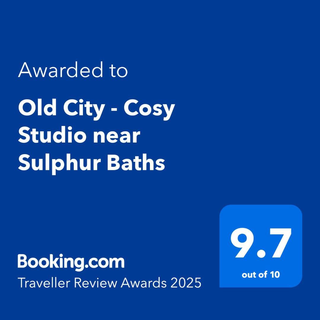 Old City - Cosy Studio Near Sulphur Baths ティビリシ エクステリア 写真